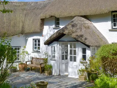 a thatched cottage with a bench in front of it at The Thatch Cottage in South Petherwin