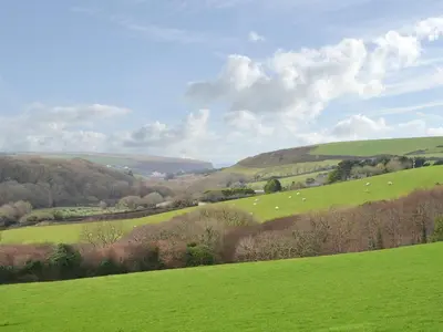 a green hillside with sheep grazing in a field at Porth View in Saint Mawgan