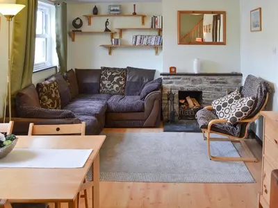 a living room with a couch and a fireplace at Willow Cottage in Newlyn East