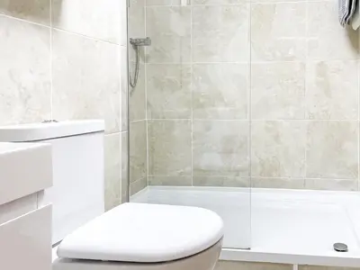 a bathroom with a toilet and a shower at Palm Villa in Saint Columb Minor