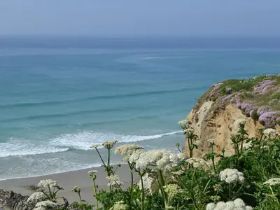 a view of the ocean and a beach with flowers at Palm Villa in Saint Columb Minor