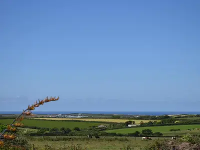 a view of a field with cows in the distance at Treyarnon in St Merryn