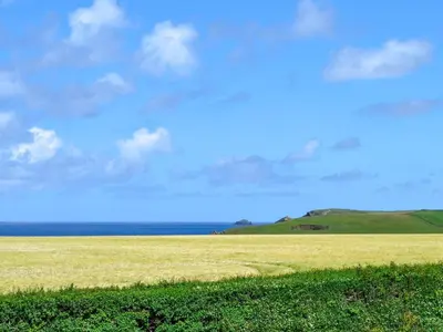a field of grass with the ocean in the background at St Cadoc Cottage in St Merryn