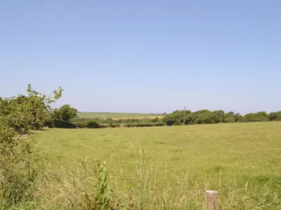 a field of green grass with trees in the distance at Dover Row Cottage in Zelah