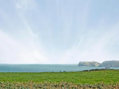 a grassy field with the ocean in the background at The Lookout in Port Isaac