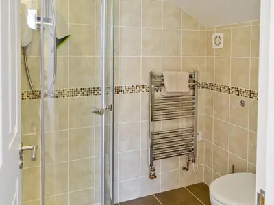 a bathroom with a shower and a toilet at Owls Park in Saint Endellion
