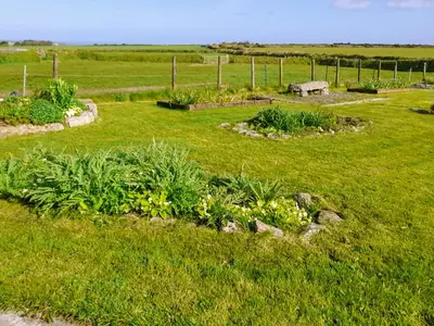 a garden with plants and flowers in a field at Ash Tree Cottage in Carnbrea