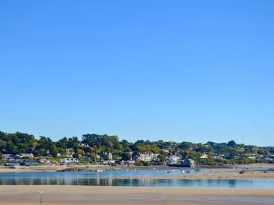 a beach with a bunch of birds in the water at Penty-Lowarth in Saint Columb Major