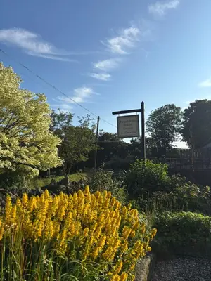 a bunch of yellow flowers in front of a sign at Rose Cottage, Tregolls Farm in Saint Wenn