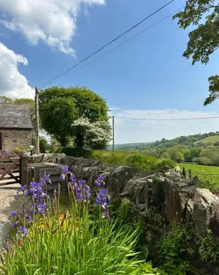 a garden with purple flowers in front of a stone wall at Rose Cottage, Tregolls Farm in Saint Wenn