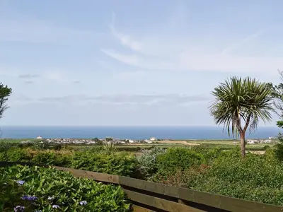 a garden with a palm tree and the ocean at Kilcummer Stables in Tintagel