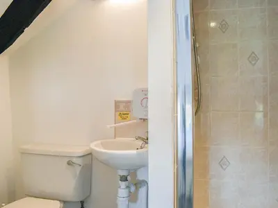 a bathroom with a toilet and a sink and a shower at Pollards Cottage in Forrabury
