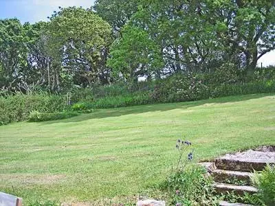 a grassy field with a dog standing in the grass at Keeper's Cottage in Helford Passage