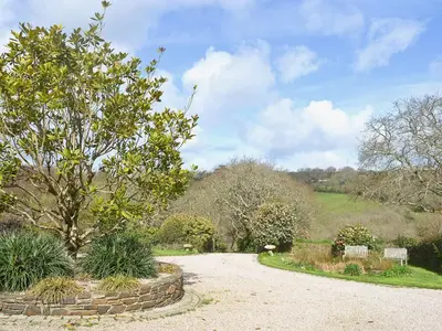 a gravel driveway with a tree in a garden at Keeper's Cottage in Helford Passage