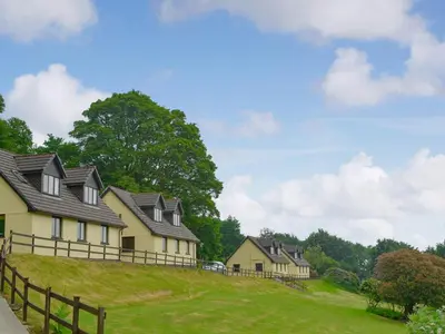 a row of houses on a hill with a fence at Lake View Cottage - Cv7103 in Liskeard