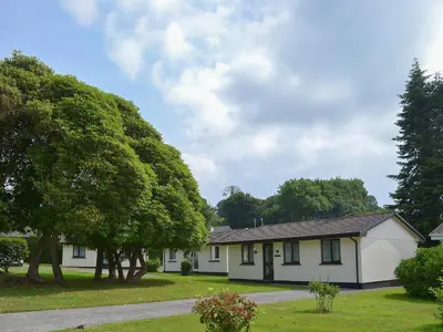 a white house with trees in the yard at Tresco - B6520 in Saint Cleer