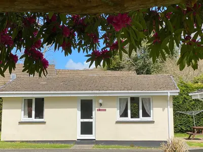 a white house with pink flowers at Pencarrow - B6521 in Saint Cleer