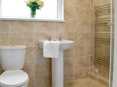 a bathroom with a toilet and a sink and a vase of flowers at Trevarno - B6527 in Saint Cleer