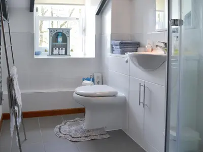a white bathroom with a toilet and a sink at Trekeive Cottage in Saint Cleer