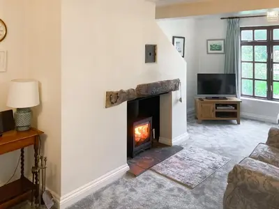 a living room with a fireplace and a tv at Florin Cottage in Lerryn