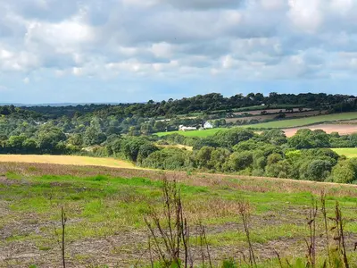 a green field with trees in the distance at Swallows Barn in Crowan