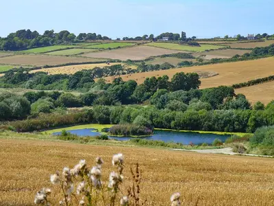 a view of a field with a lake in it at Swallows Barn in Crowan