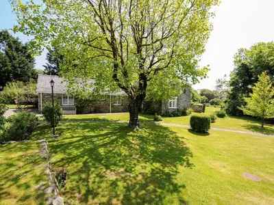 a tree in the yard of a house at Byre in Camelford