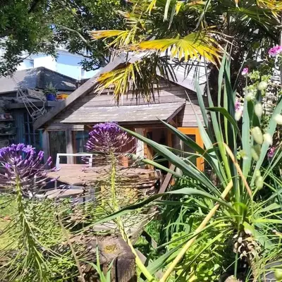 Bright cosy house