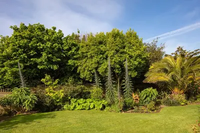 a garden with green grass and trees and bushes at High Meadows in Saint Mawes