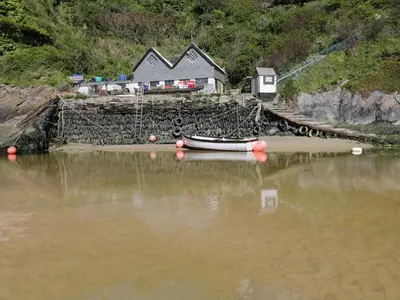 a boat sitting on the shore of a body of water at Chez Nous in Newquay
