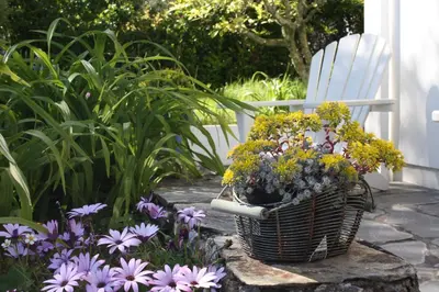 a basket of flowers sitting next to a white chair at Nearwater in Saint Mawes