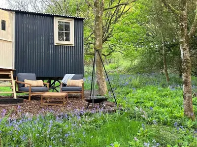 a garden with a couch and chairs in front of a shed at Cornwall Woodland Shepherd's Hut - Dennis Hut in Bodmin