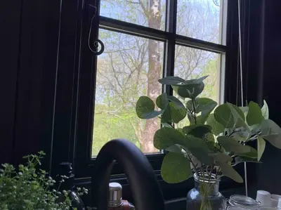 a plant in a vase next to a window at Cornwall Woodland Shepherd's Hut - Dennis Hut in Bodmin