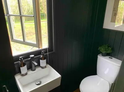 a green bathroom with a sink and a toilet at Cornwall Woodland Shepherd's Hut - Dennis Hut in Bodmin