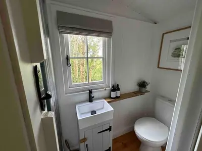 a bathroom with a toilet and a sink and a window at Cornwall Woodland Shepherd's Hut with Hot Tub - Deirdres Hut in Bodmin