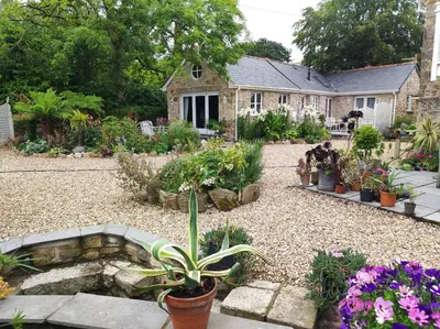 a garden with plants and flowers in front of a house at Tree Fern Barn in St Austell