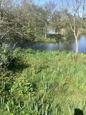 a body of water with grass and trees and a field at LakeView Lodge Trevella Park in Crantock