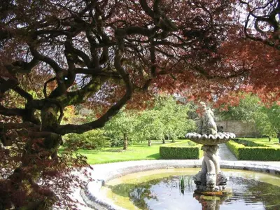 a stone fountain in a park with a tree at The Old Stables of heritage Tregrehan Garden Cottages on South Coast in St Austell