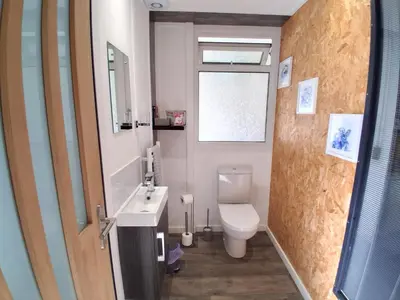 a bathroom with a toilet and a sink and a window at Wisteria Barn, Trewethen, Nr Port Isaac in Port Isaac