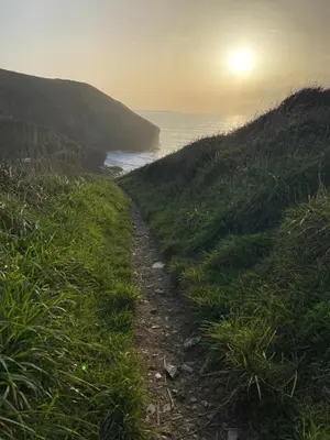 a path on a hill with the ocean in the background at Moorland Breeze in Blisland