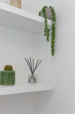 a white shelf with two plants on it at SeaBreeze 3 - seaview & Parking in St Ives
