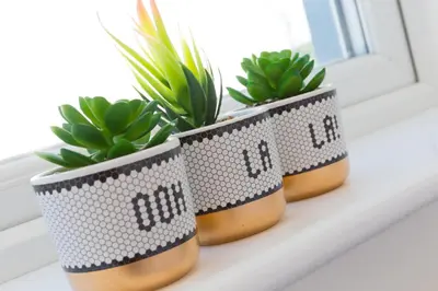 three potted plants sitting on a window sill at SeaBreeze 3 - seaview & Parking in St Ives