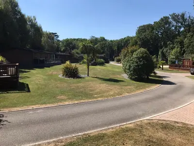 a winding road in a residential neighborhood with trees at 10 Trehawks in Wadebridge