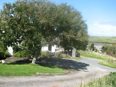 a tree in front of a house with a driveway at The Old Farmhouse in Crackington Haven