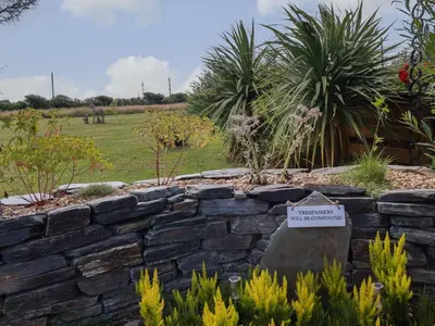 a retaining wall in a garden with plants at Dot May in Wadebridge