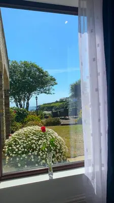 a window with a vase with a flower in a bush at Portmellon Cove Guest House in Mevagissey