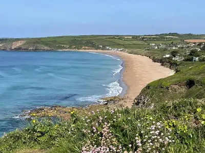a view of a beach with flowers on a hill at Pottsville Cabin Sleeps 4 with Deck in Praa Sands