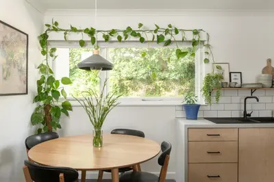 a kitchen with a table and a window with plants at Number 4 - Stylish 1 bedroom house in Truro, Cornwall in Truro