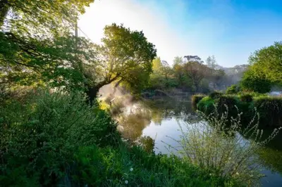 Gallery image of Meadow Lakes Holiday Park in Grampound