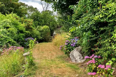 a path through a garden with flowers and bushes at Finest Retreats - Tregatreath in Coverack